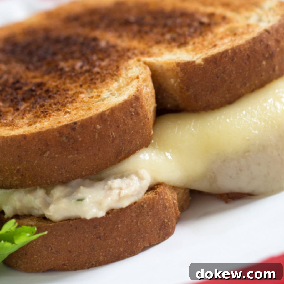 Golden Tuna & Cheese Delight 26 featured 10801