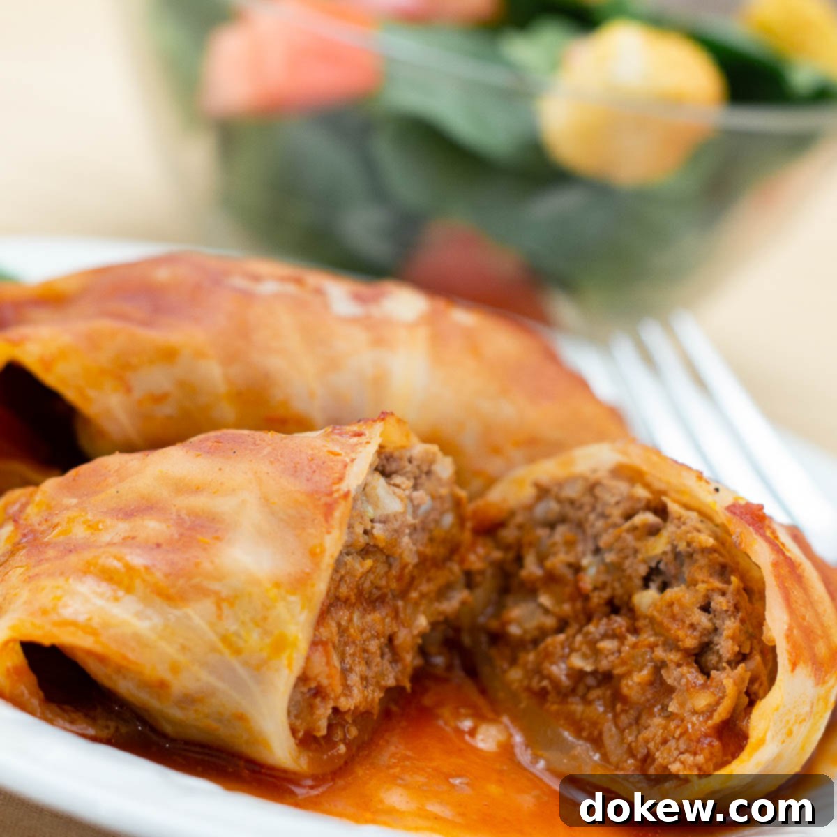 Homestyle Cabbage Rolls 1 featured 19268