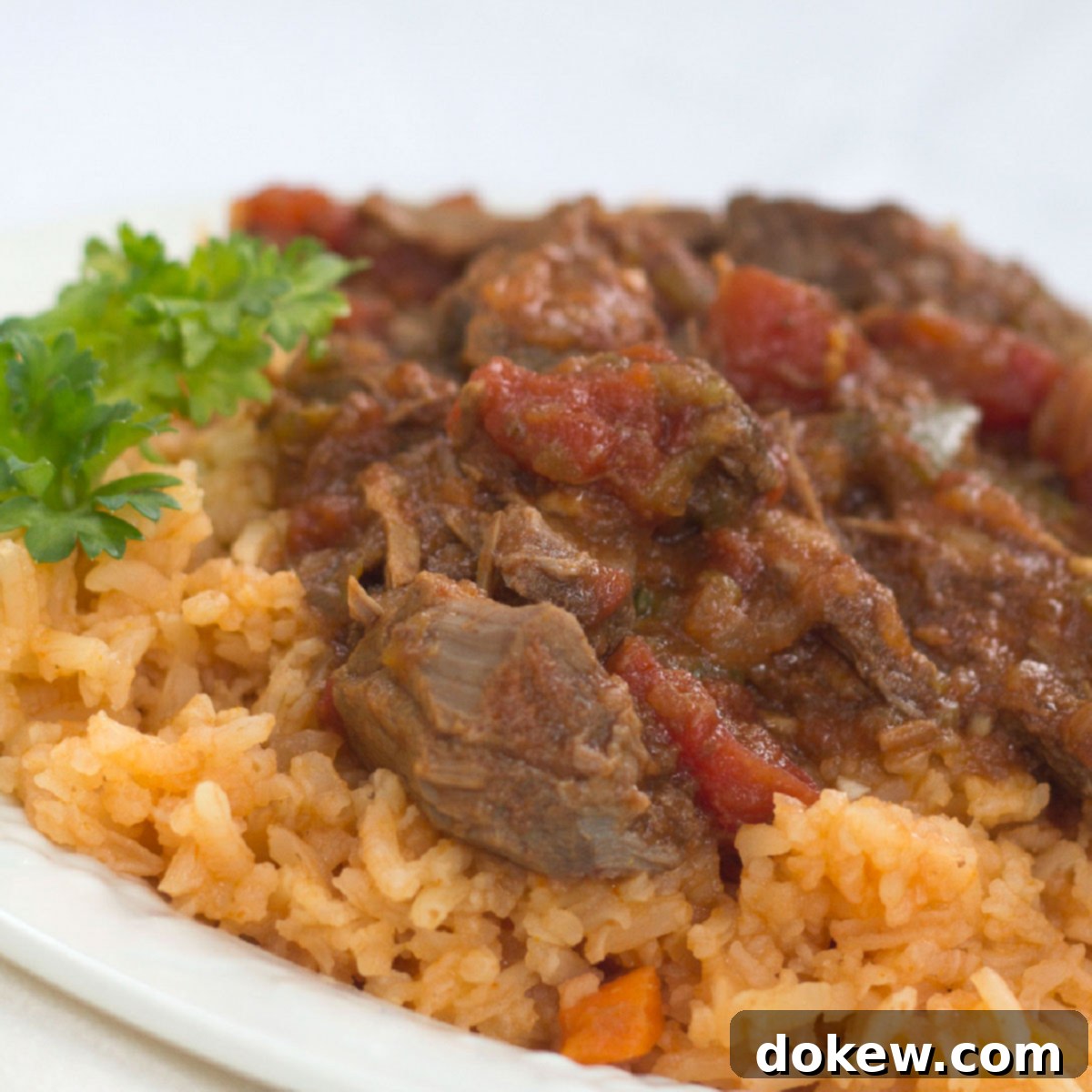 Slow Cooked Cuban Shredded Beef 1 featured 20422