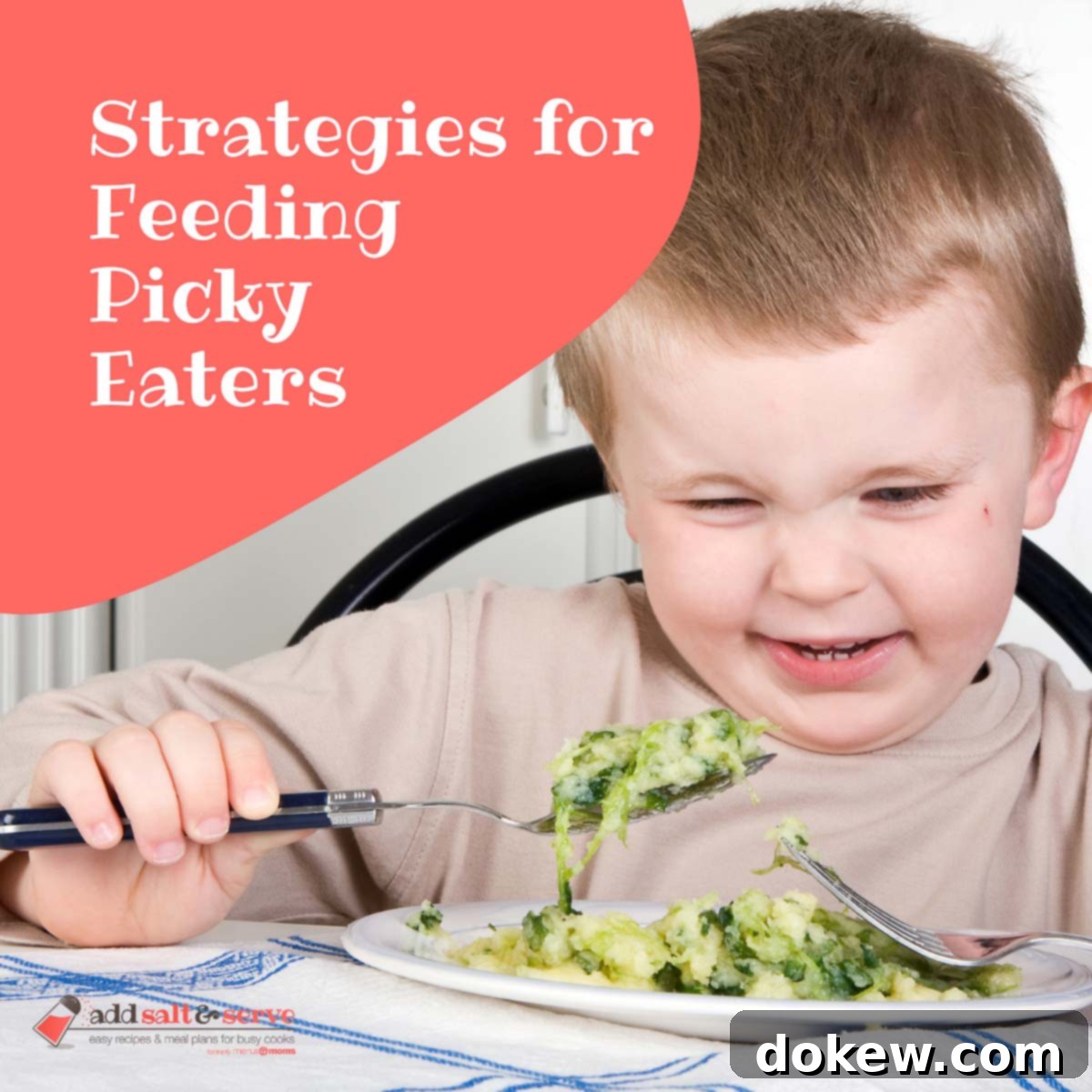 Mastering Meals: Picky Eaters and Special Diets 1 featured 23613