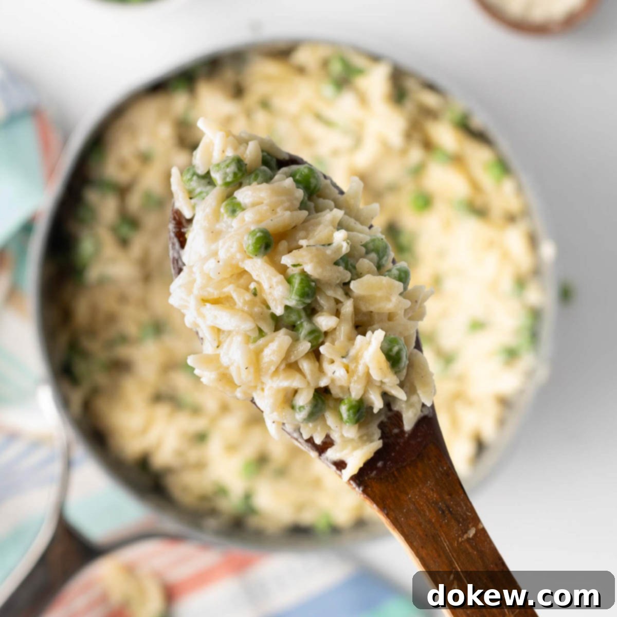 Velvety Orzo Alfredo 1 featured 3236