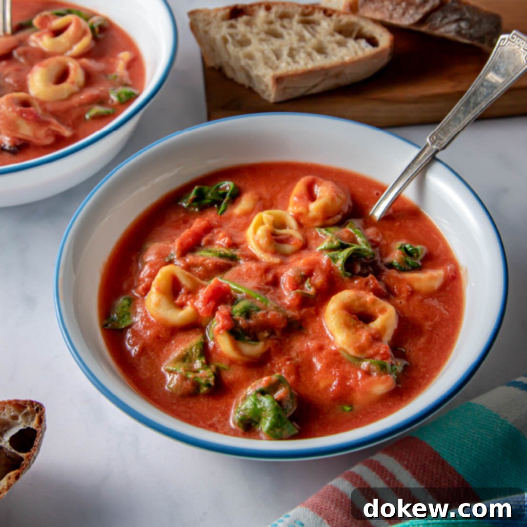 Effortless 15-Minute Tomato Spinach Tortellini Delight 1 featured 473