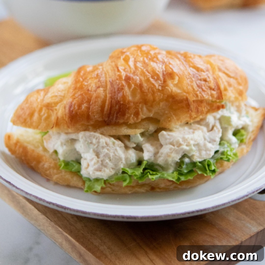 Flaky Croissant Chicken Salad Creations 1 featured 7935