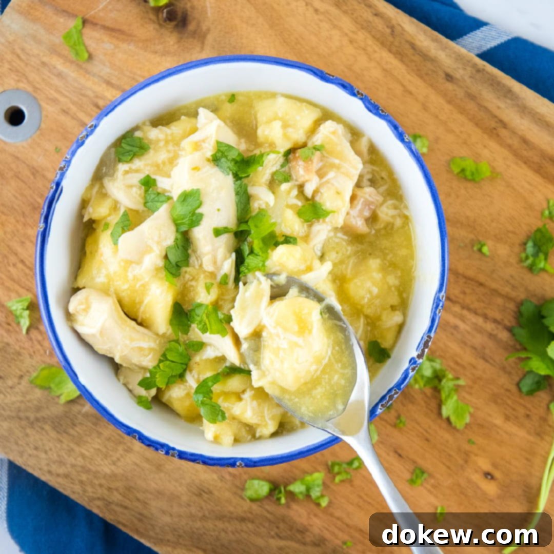 Hearty Slow Cooker Chicken and Biscuit Dumplings 1 featured 8085