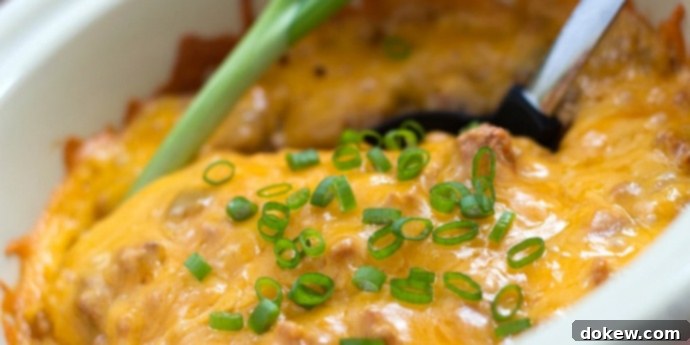 Classic South of the Border Casserole South of the Border Casserole in a white bowl with a serving spoon, garnished with fresh cilantro.