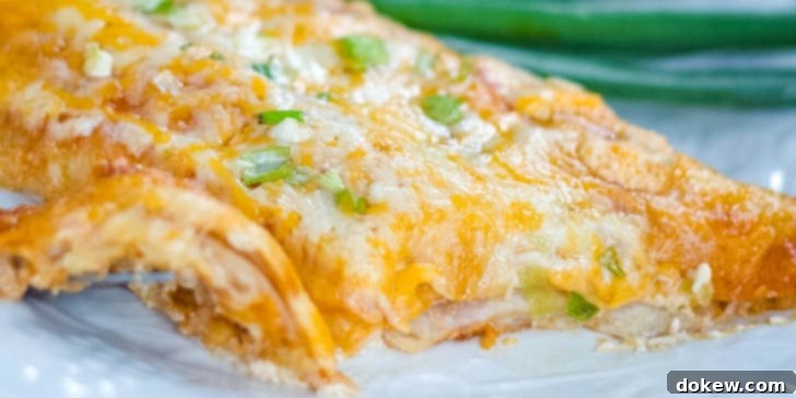 Enchilada covered with melted Mexican blend cheese and diced green onions on a clear plate with green onions in the background.