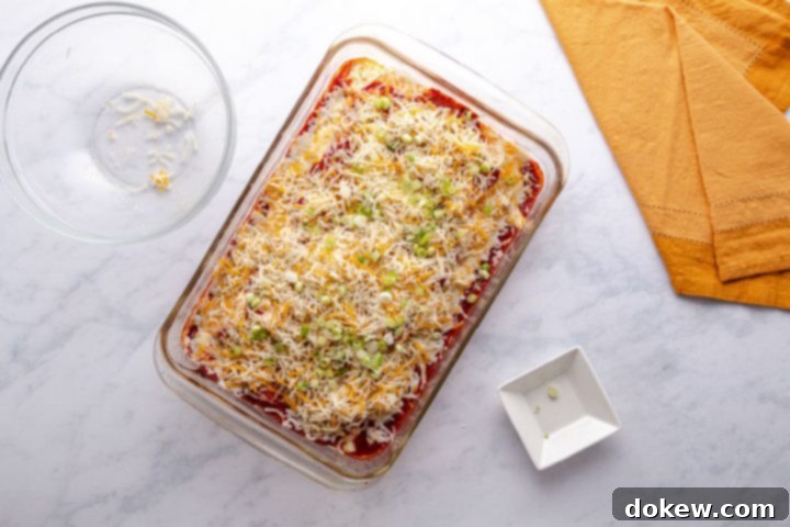 Cheese and Onion Enchiladas 8 cheese and onion enchiladas