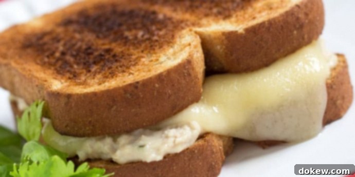 Tuna Cheese Melts Tuna and a slice of melted swiss cheese on two pieces of toasted bread on a white plate.
