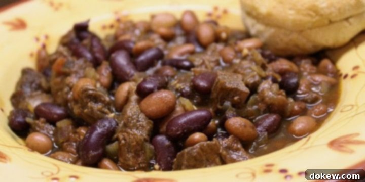 Barbecue Beef & Beans A vibrant bowl of Barbecue Beef and Beans, featuring kidney beans, pinto beans, and diced roast beef in a rich, reddish-brown broth. The yellow soup bowl is adorned with red flowers, and a golden-brown biscuit rests invitingly on its rim.