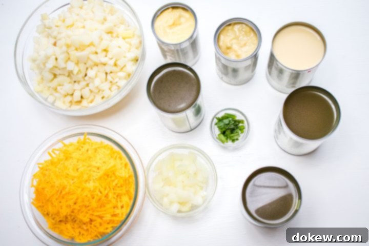 30-Minute Hash Brown Potato Soup 2 Ingredients for Potato Soup with Hash Browns: hash browns, cheddar cheese, cream soups, evaporated milk, chicken broth, chopped onion, and green onion.