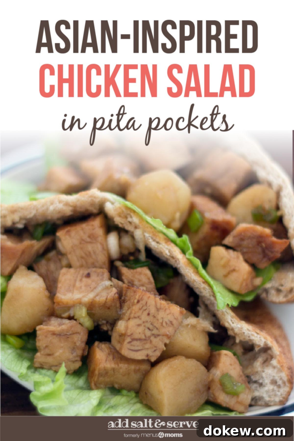 Umami Chicken Pita Parcels 4 Diced chicken in a lettuce-lined pita on a white plate with text Asian-Inspired Chicken Salad in Pita Pockets - Add Salt & Serve logo