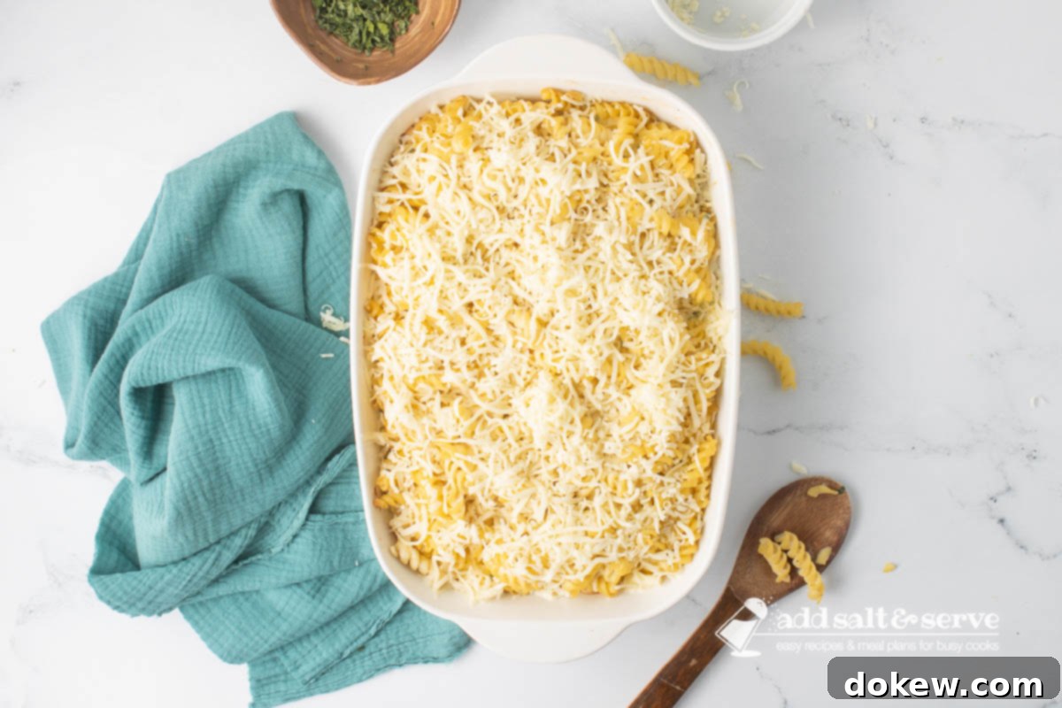 Golden Baked Alfredo Rotini 11 Rotini Pasta Bake after it has been baked for 35 minutes and topped with shredded mozzarella cheese before baking to melt the cheese.