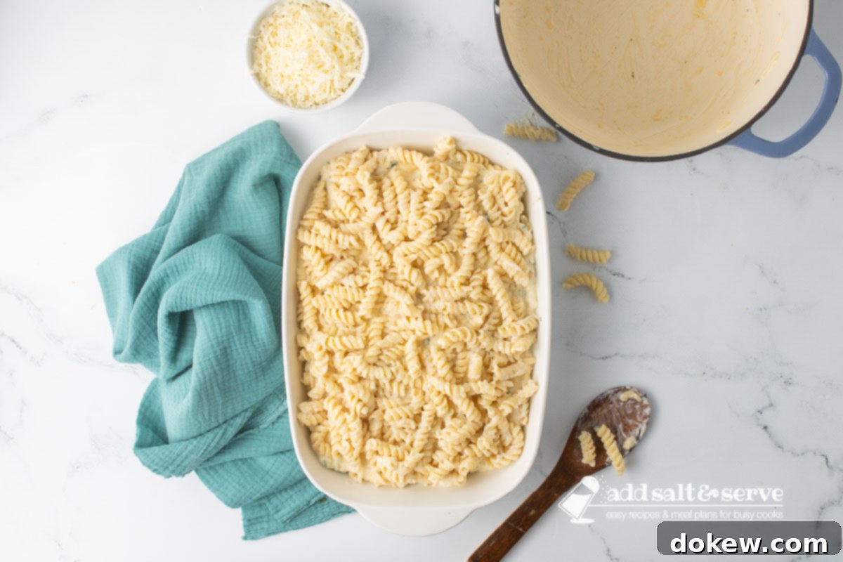 Golden Baked Alfredo Rotini 9 A white baking dish with a layer of rotini and Alfredo sauce, then ricotta cheese and egg mixture, then another layer of rotini and Alfredo sauce.