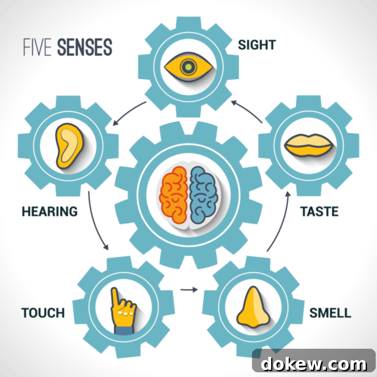 Mastering Meals: Picky Eaters and Special Diets 3 symbols of the 5 senses in a circle around a symbol of the brain