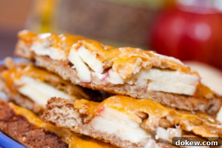 Deliciously melted open-faced apple cheddar sandwich, garnished with crisp apple slices and crunchy sunflower seeds