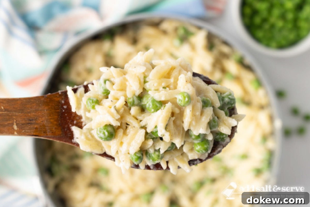 Velvety Orzo Alfredo 2 Serving of Orzo Alfredo with peas on a wooden spoon above the pot, showcasing its creamy texture.