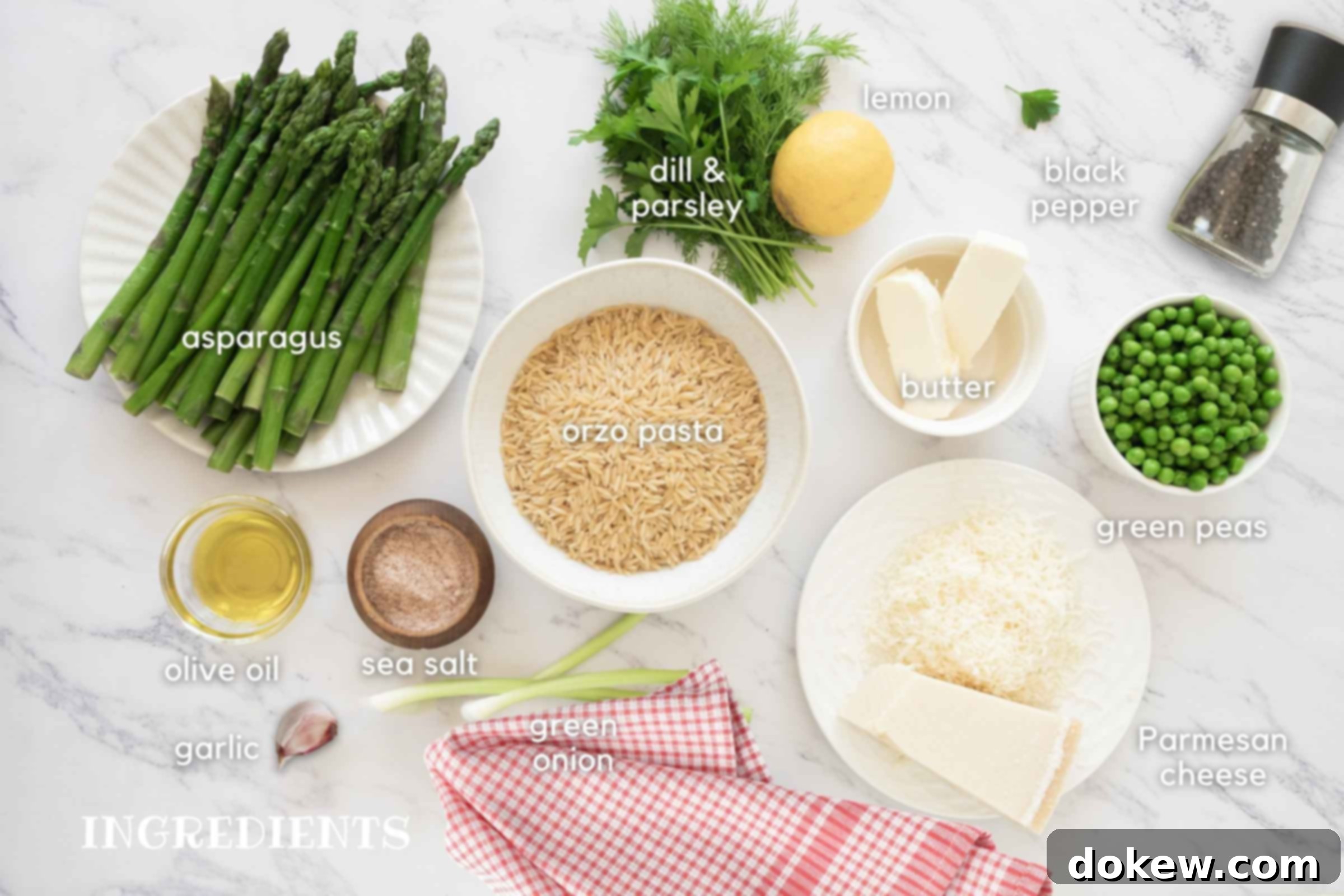 Spring Lemon Orzo with Asparagus, Peas, and Parmesan 3 Labeled image of fresh ingredients for lemon orzo: vibrant green asparagus, fresh dill and parsley, a bright yellow lemon, black pepper, sweet green peas, block of Parmesan cheese, creamy butter, orzo pasta, sea salt, olive oil, garlic clove, and slender green onions.