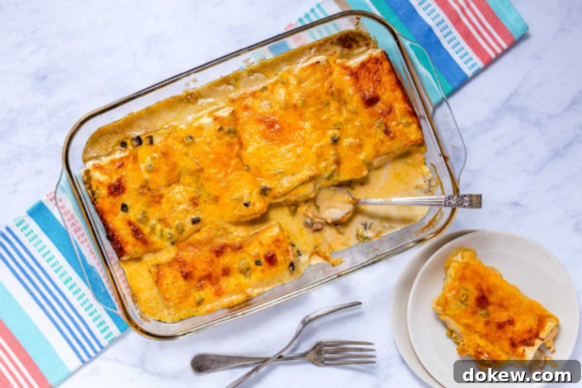 5 Malzemeli Pratik Burrito Güveci 2 Frozen burrito casserole.