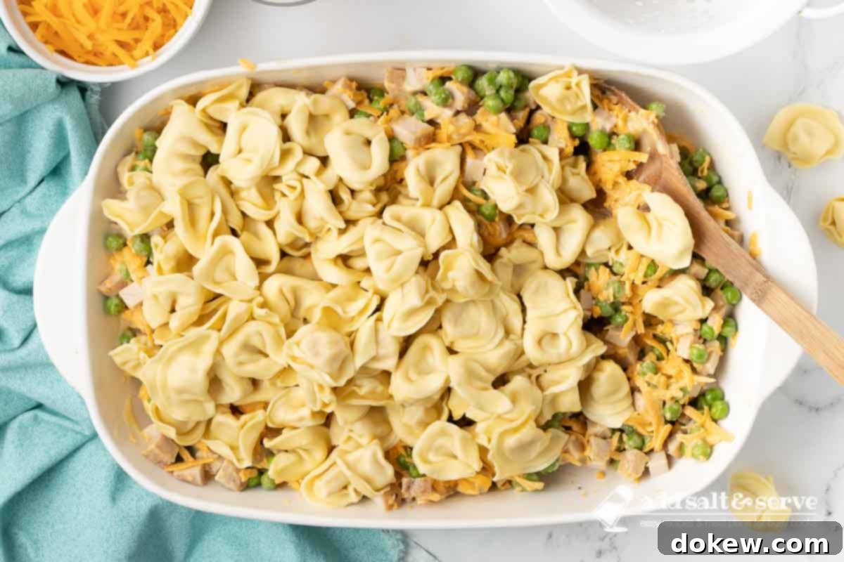 Golden Turkey Tortellini Bake 6 Cooked and drained tortellini being added to a casserole dish filled with a creamy mixture of leftover chopped turkey, peas, and cheese sauce, ready for gentle mixing.