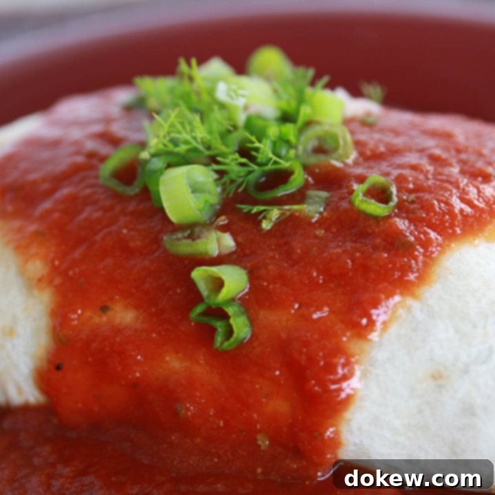Burritos Mojados Burrito with red sauce poured over it and garnished with cilantro and chopped green onions