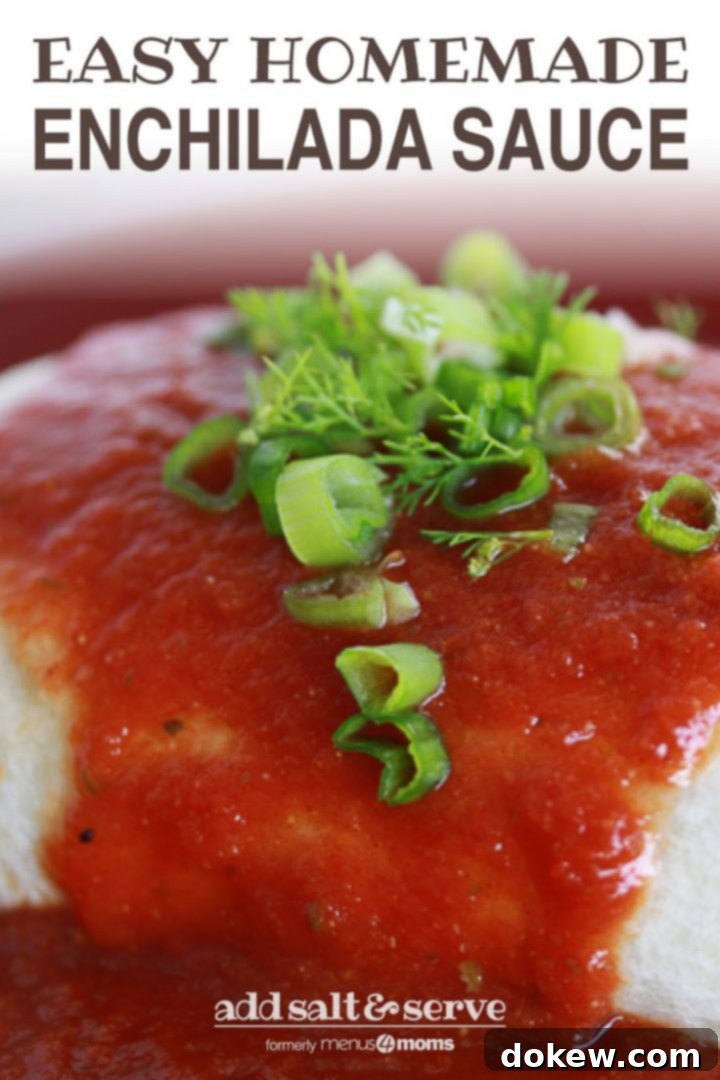 Effortless Homemade Enchilada Sauce 5 Burrito with red sauce poured over it and garnished with cilantro and chopped green onions and text Easy Homemade Enchilada Sauce; Add Salt & Serve logo