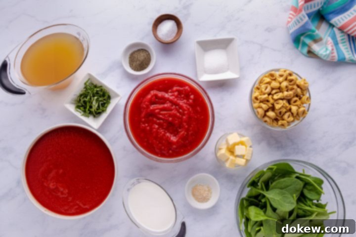 Effortless 15-Minute Tomato Spinach Tortellini Delight 3 ingredients for Tomato Spinach Tortellini Soup