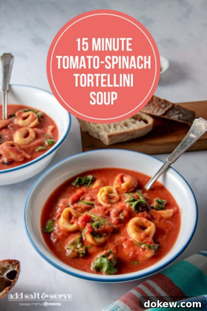 Effortless 15-Minute Tomato Spinach Tortellini Delight 9 Tomato Spinach Tortellini Soup