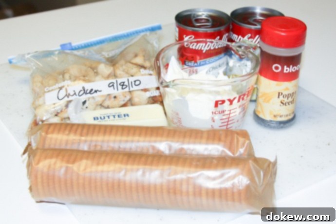 Creamy Poppy Seed Chicken Casserole Ingredients A collection of ingredients for Creamy Poppy Seed Chicken Casserole, including cooked chicken, a measuring cup with sour cream, a stick of butter, two sleeves of crackers, a can of cream of chicken soup, and a jar of poppy seeds.
