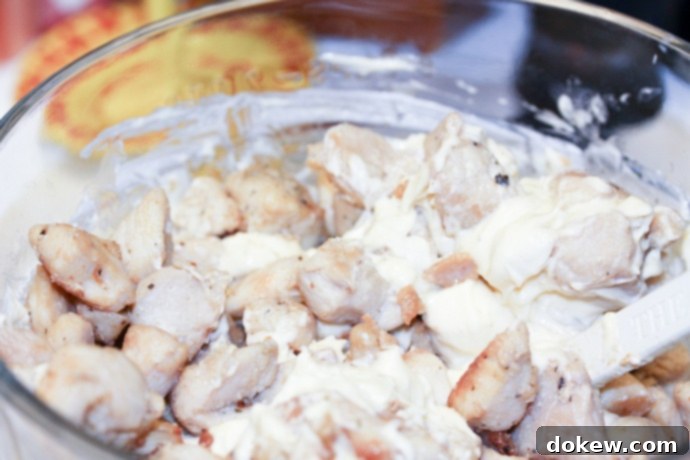 Creamy Poppy Seed Chicken Casserole Assembly - Chicken with soup mixture Creamy Poppy Seed Chicken Casserole Assembly - Cooked chicken mixed with sour cream and cream of chicken soup.