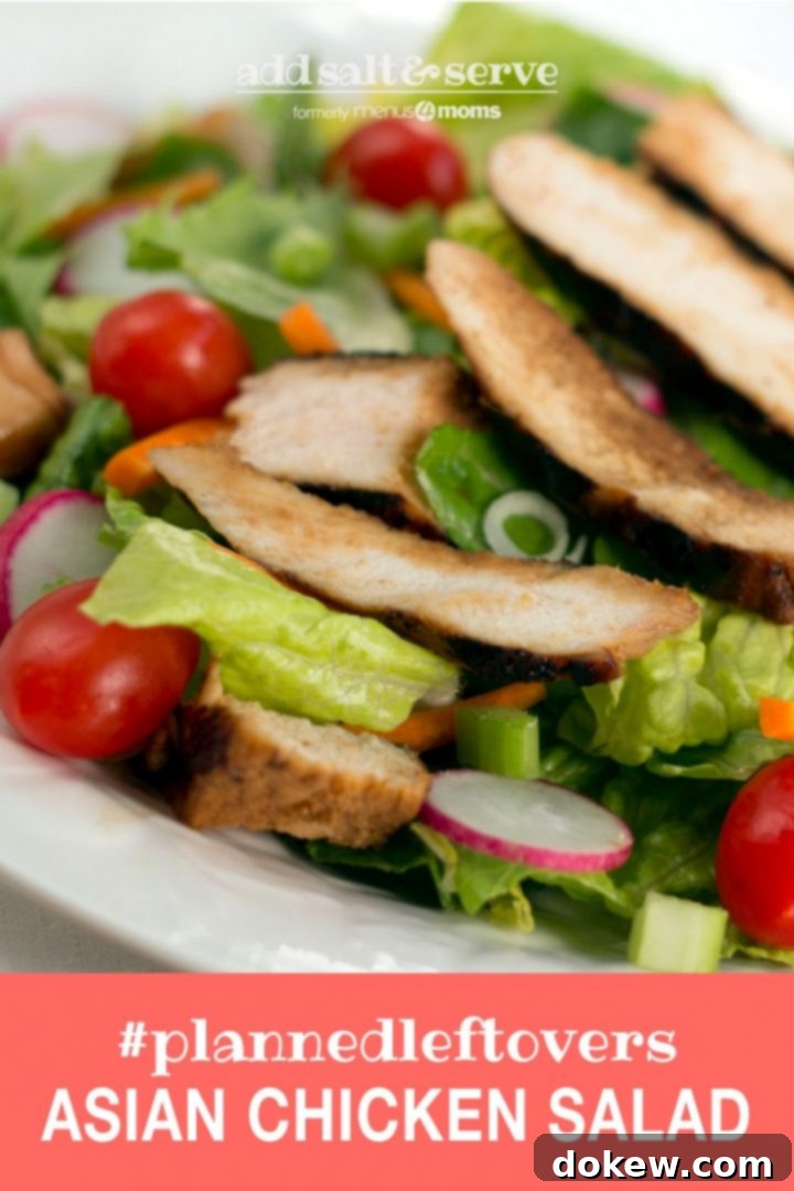 Asian Chicken Salad Top-down view of a colorful Asian Chicken Salad with a caption stating '#plannedleftovers Add Salt & Serve', featuring sliced chicken, fresh vegetables, mandarin oranges, and sesame seeds.