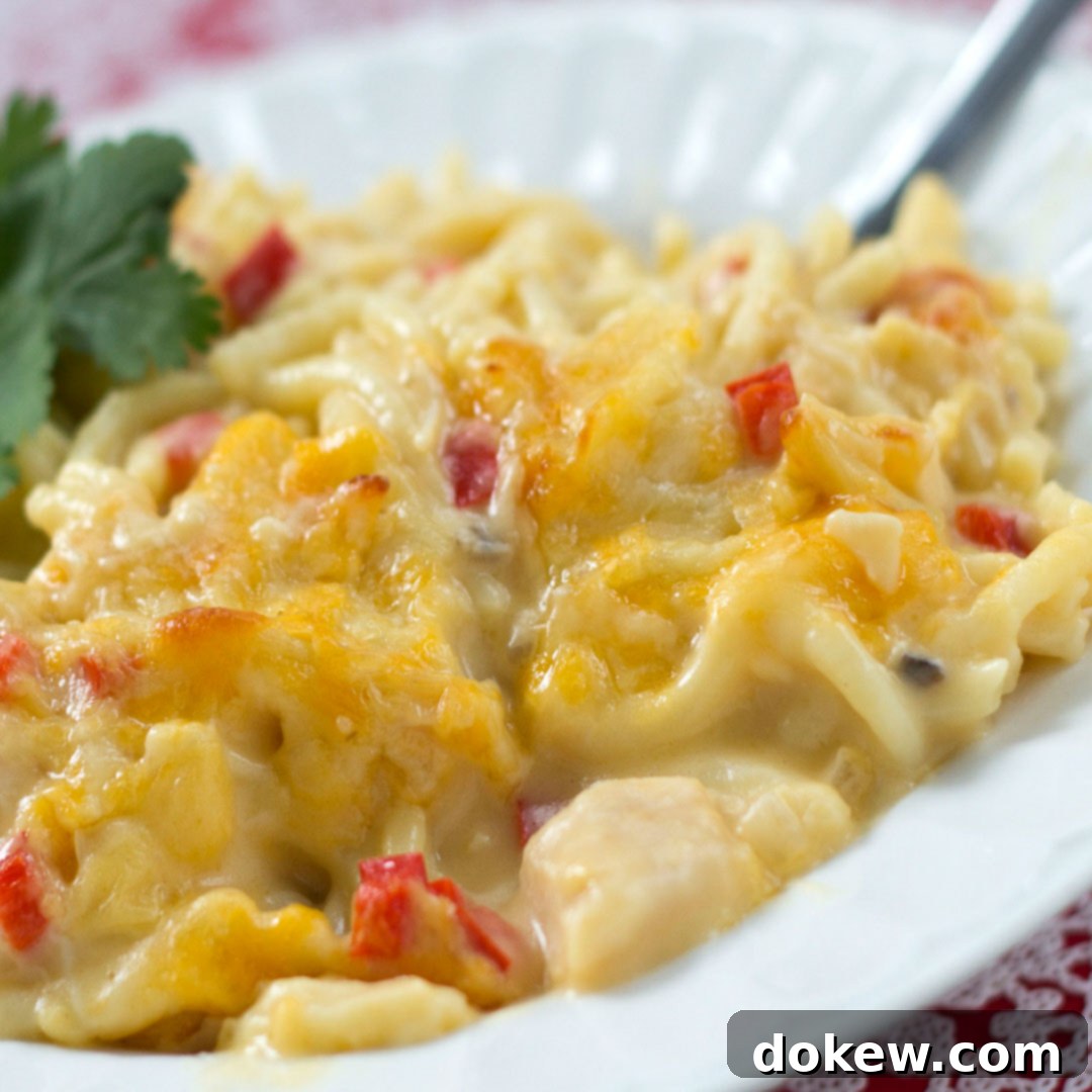 Chicken Tetrazzini Chicken Tetrazzini on a white plate