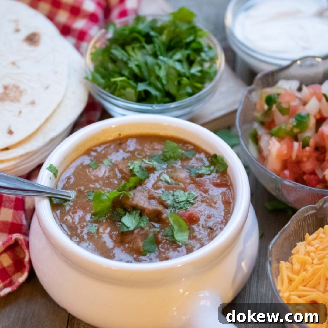 Instant Pot Carne Guisada (Mexican Beef Stew) with Tortillas and Garnishes A beautifully presented bowl of Instant Pot Carne Guisada, featuring tender Mexican beef stew in a white crock, generously garnished with shredded cheese, vibrant fresh cilantro, a dollop of creamy sour cream, and accompanied by fresh pico de gallo and warm corn tortillas for dipping.