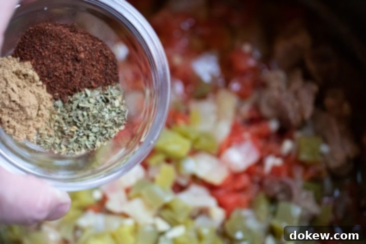 Adding Spices to Cooked Carne Guisada in Instant Pot Cooked Mexican beef stew in the Instant Pot, with the lid removed. The tender beef and vegetables are visible, and chili powder, oregano, and cumin have just been added to the pot, being stirred into the rich, savory liquid.
