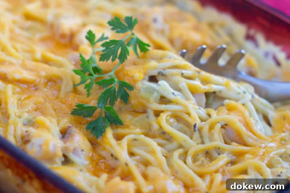 Cheddar chicken spaghetti in a baking dish garnished with parsley.