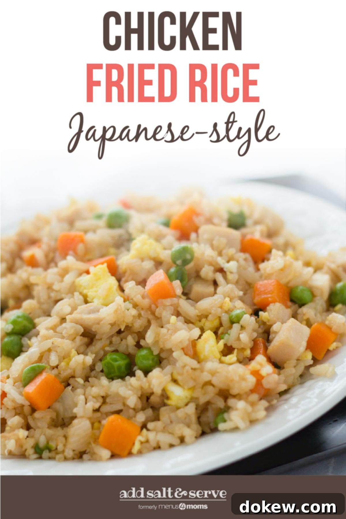 Golden Chicken Fried Rice 3 Chicken Fried Rice on a white plate; text Chicken Fried Rice Japanese-style - Add Salt & Serve logo