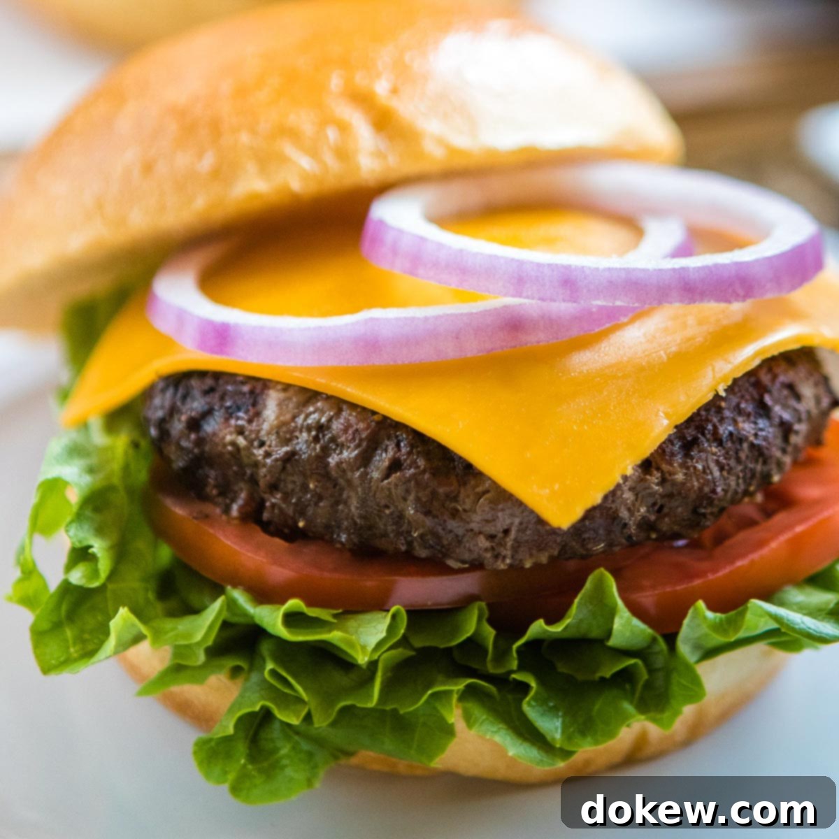 Juicy Grilled Burgers 2 Grilled Burgers