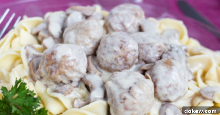 Meatball Stroganoff over Egg Noodles A close-up of wide egg noodles generously topped with savory meatballs and a creamy, rich mushroom Stroganoff sauce, garnished with fresh parsley, on a vibrant purple plate.