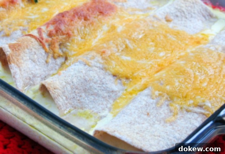 Pan of cooked enchiladas covered in melted cheese, golden and bubbly, fresh from the oven, ready to serve