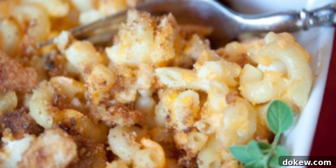 Homemade Macaroni and Cheese A single serving of macaroni & cheese with a bread crumb topping with a fork and garnished with fresh thyme